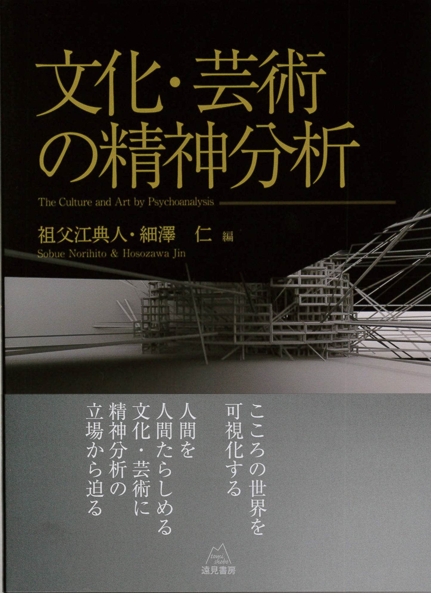 文化・芸術の精神分析