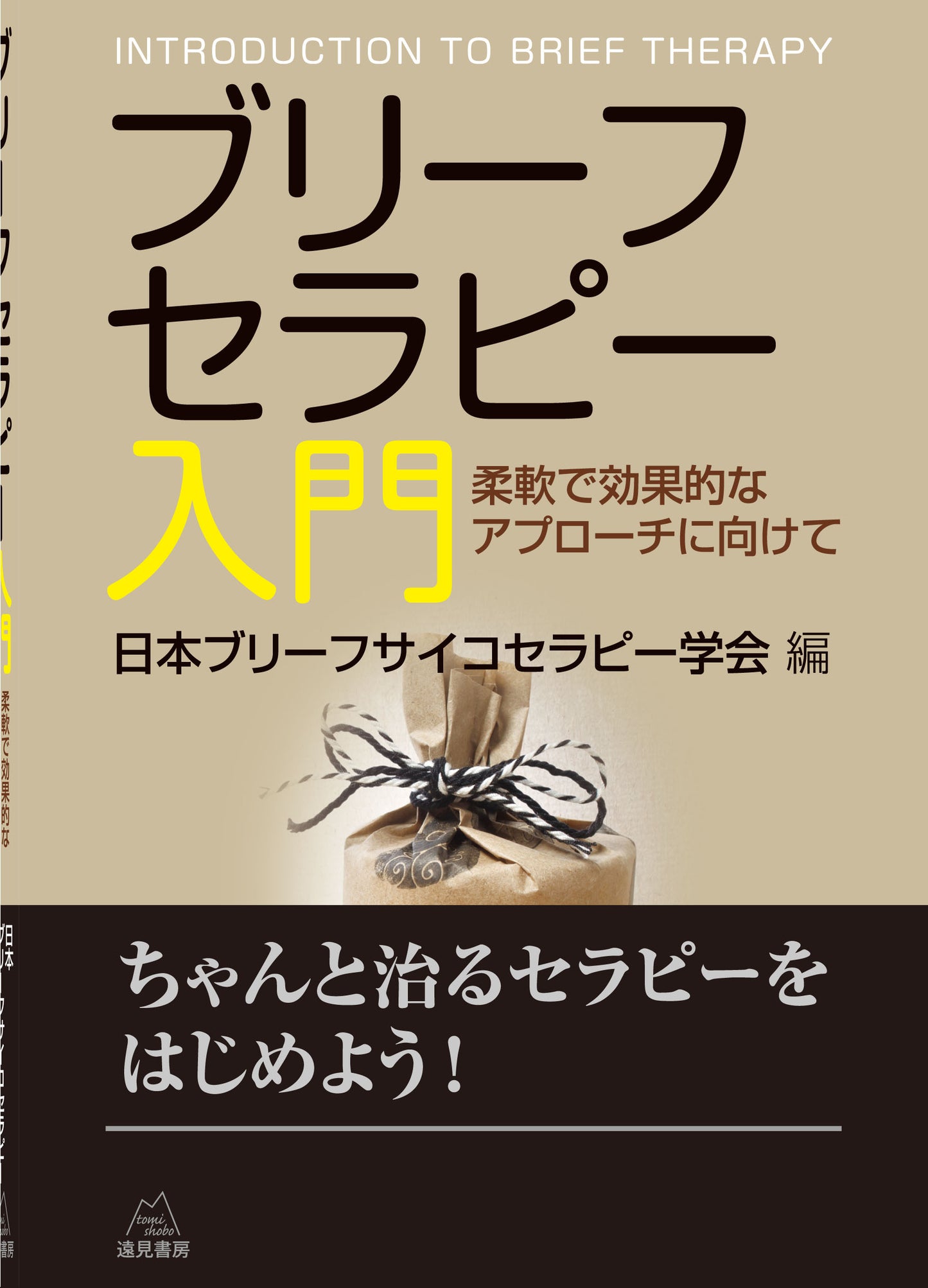 ブリーフセラピー入門